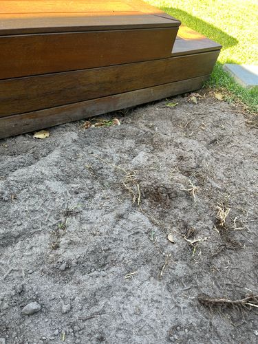 IMG_0591.jpeg IMG_0591.jpeg