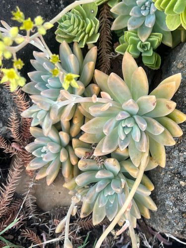 IMG_9378.jpeg IMG_9378.jpeg