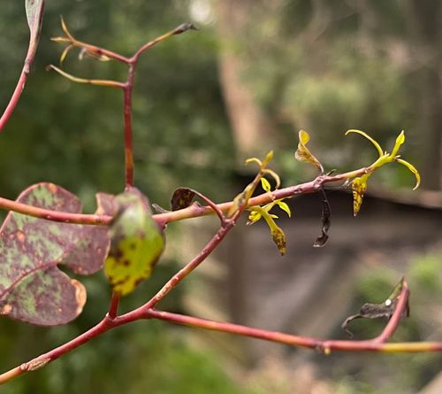 IMG_7793.jpeg IMG_7793.jpeg