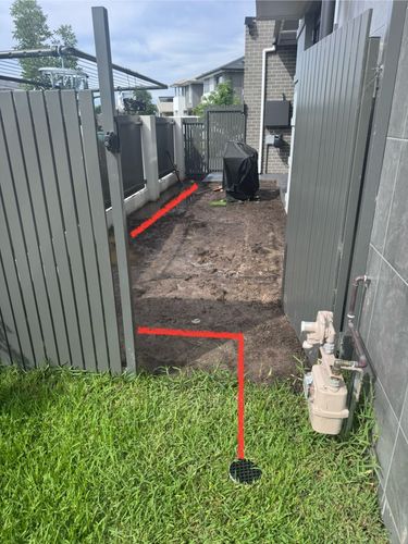 IMG_2346.jpeg IMG_2346.jpeg