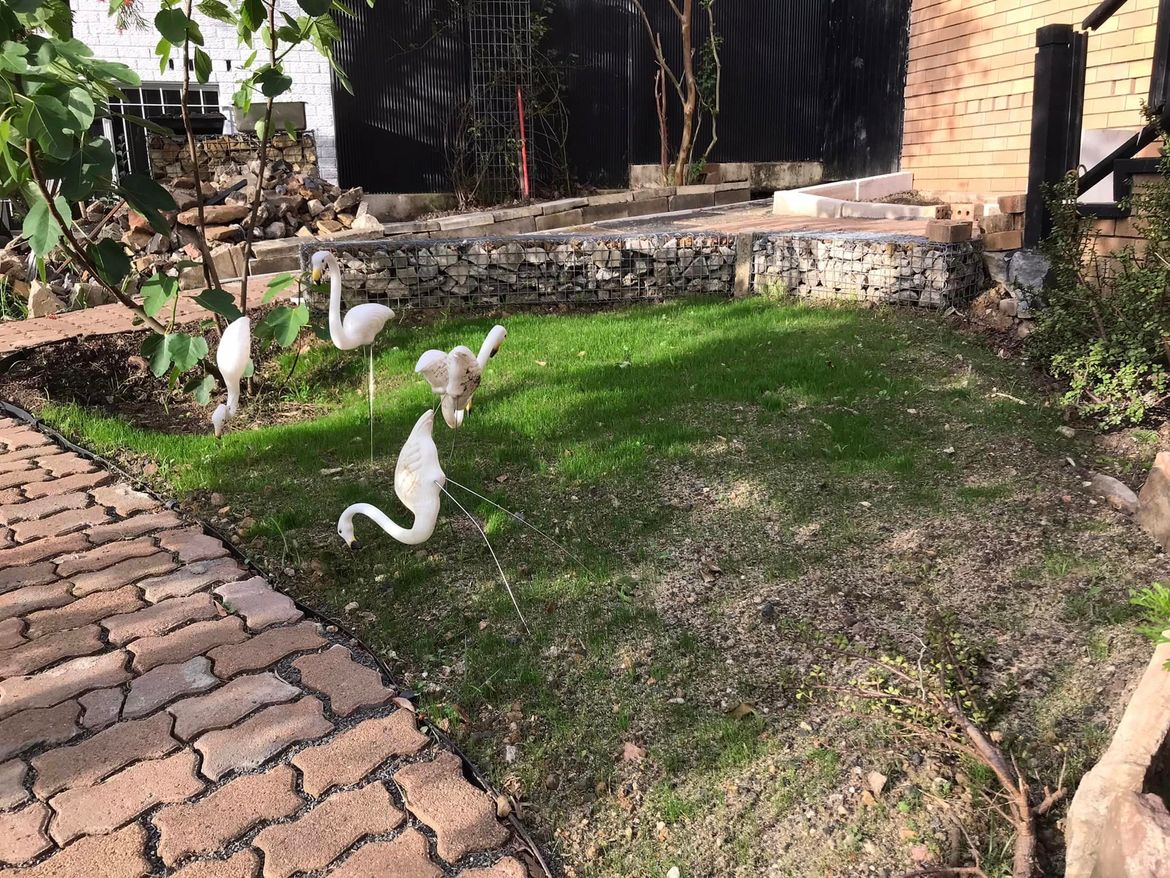 62 19-10-2022.jpg 62 19-10-2022.jpg