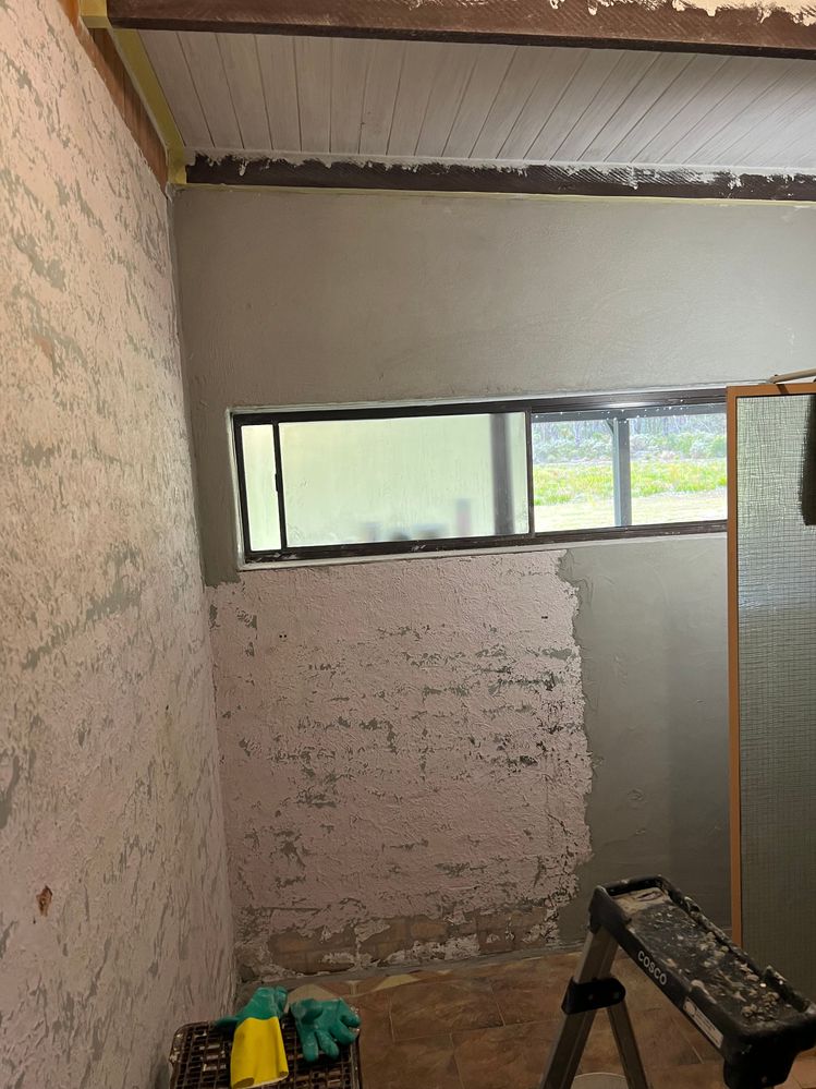 IMG_6901.jpeg IMG_6901.jpeg