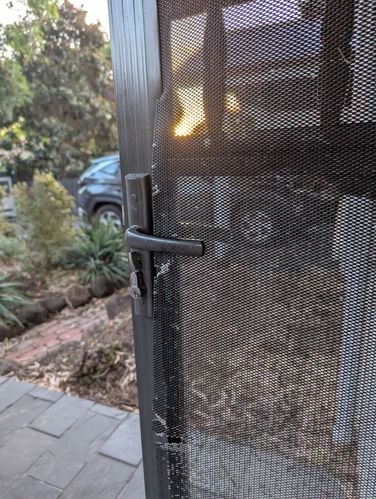 1000179550.jpg 1000179550.jpg