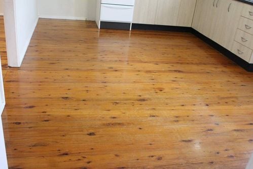 Resized_IMG_2488.jpeg Resized_IMG_2488.jpeg