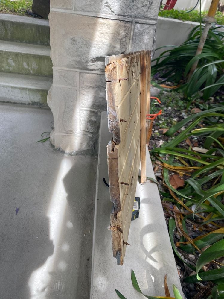 IMG_0930.jpeg IMG_0930.jpeg