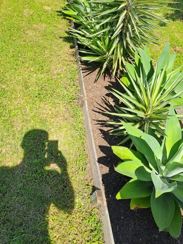 1000014036.jpg 1000014036.jpg