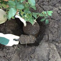 3.2 Check the height.jpg 3.2 Check the height.jpg