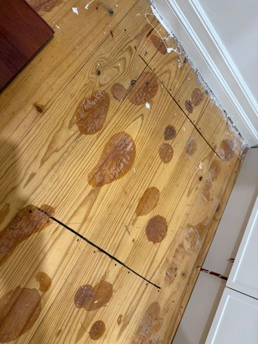 IMG_9371.jpeg IMG_9371.jpeg