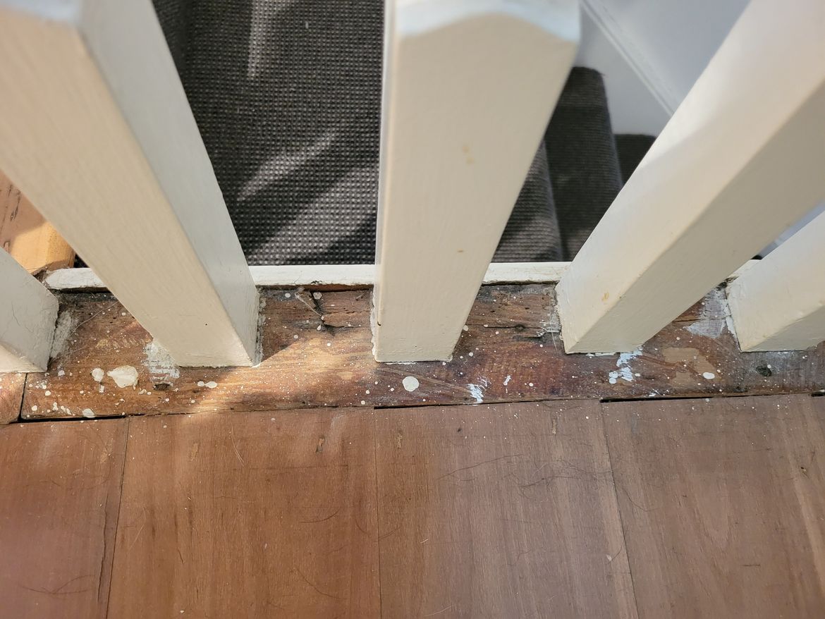 20240428_154455.jpg 20240428_154455.jpg