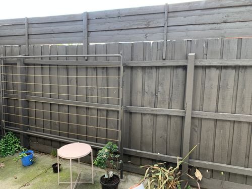 E5DB227C-76B2-48D2-81EA-59FB7E469433.jpeg E5DB227C-76B2-48D2-81EA-59FB7E469433.jpeg