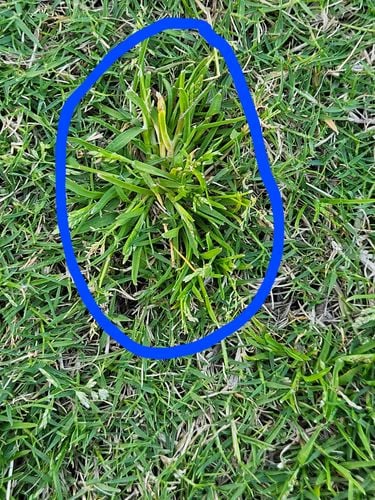 20240902_160720.jpg 20240902_160720.jpg