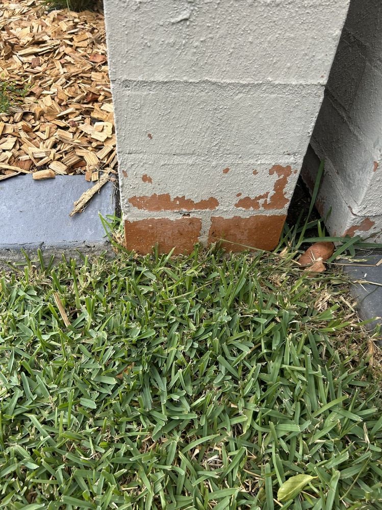 paint2.jpg paint2.jpg