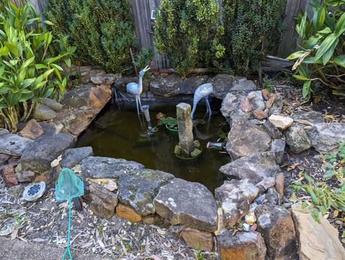 1000005693.jpg 1000005693.jpg