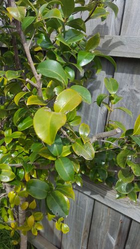 20200904_105151.jpg 20200904_105151.jpg