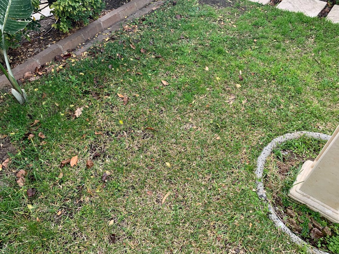 Image from iOS (4).jpg Image from iOS (4).jpg