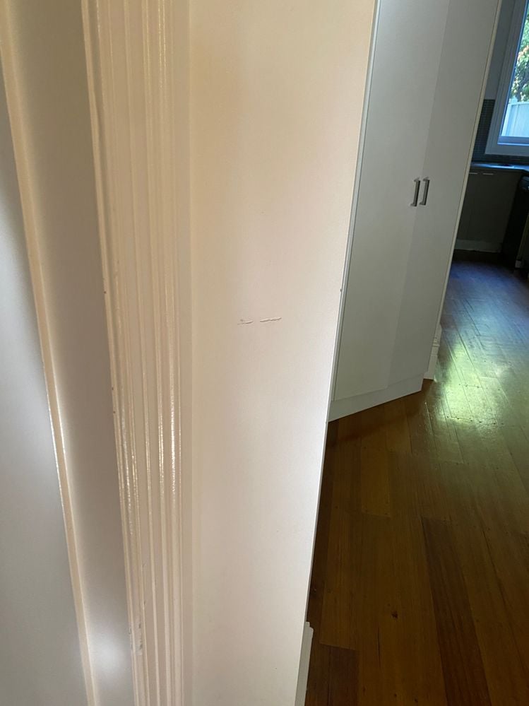 IMG_1237.JPG IMG_1237.JPG