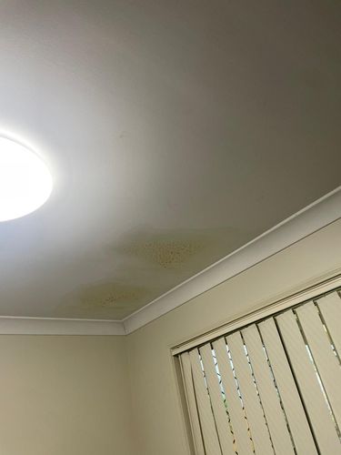 IMG-20240812-WA0004.jpg IMG-20240812-WA0004.jpg