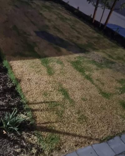 557A4CF9-4C8C-4CBF-A7E0-6D444EBB41C3.jpeg 557A4CF9-4C8C-4CBF-A7E0-6D444EBB41C3.jpeg