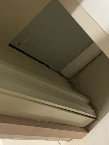 IMG_9481.jpeg IMG_9481.jpeg