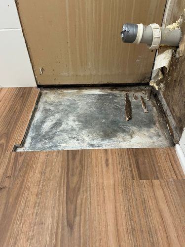 IMG_6738.jpeg IMG_6738.jpeg