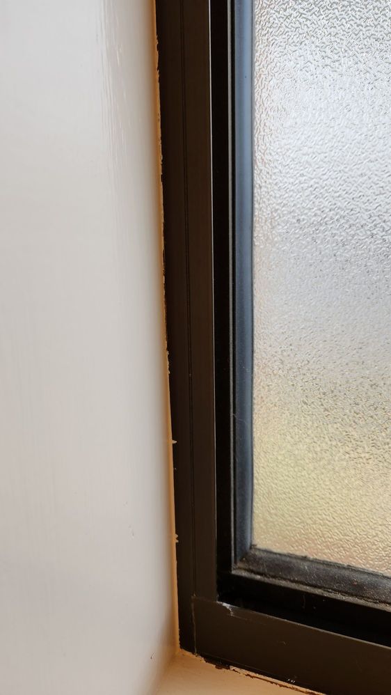 20230829_111351_resized.jpg 20230829_111351_resized.jpg