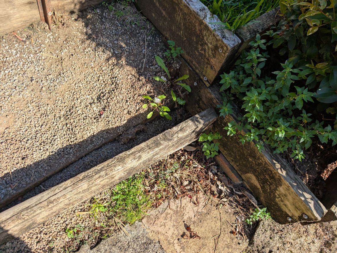 PXL_20250317_223318960.jpg PXL_20250317_223318960.jpg