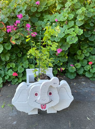 582C989B-49B2-4B68-8CB1-7DF044CD6433.jpeg 582C989B-49B2-4B68-8CB1-7DF044CD6433.jpeg