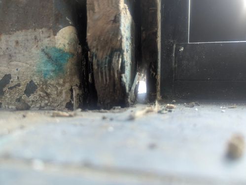 1000030854.jpg 1000030854.jpg