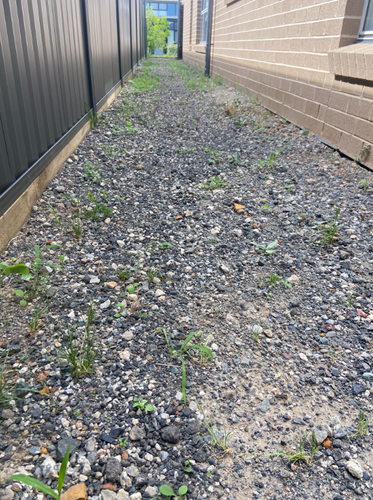 nagumuthu_1-1677388587378.png nagumuthu_1-1677388587378.png