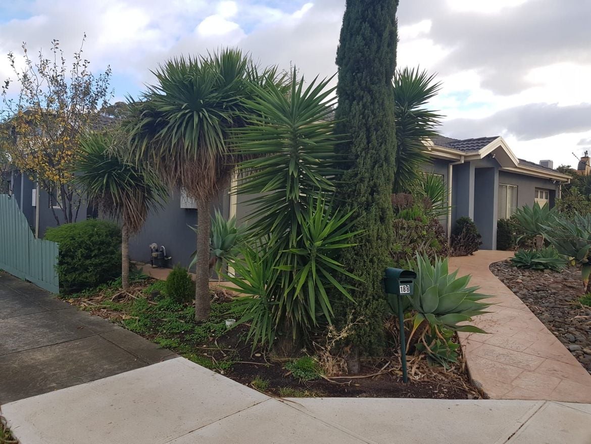 EF1E4B7C-A623-4C2F-B804-C40E832F0EBB.jpeg EF1E4B7C-A623-4C2F-B804-C40E832F0EBB.jpeg