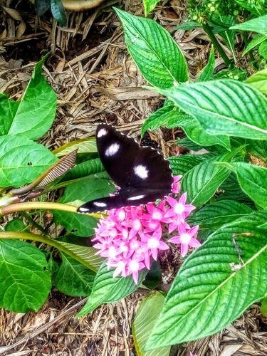 IMG_20210129_120511.jpg IMG_20210129_120511.jpg