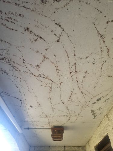 20231115_154014.jpg 20231115_154014.jpg