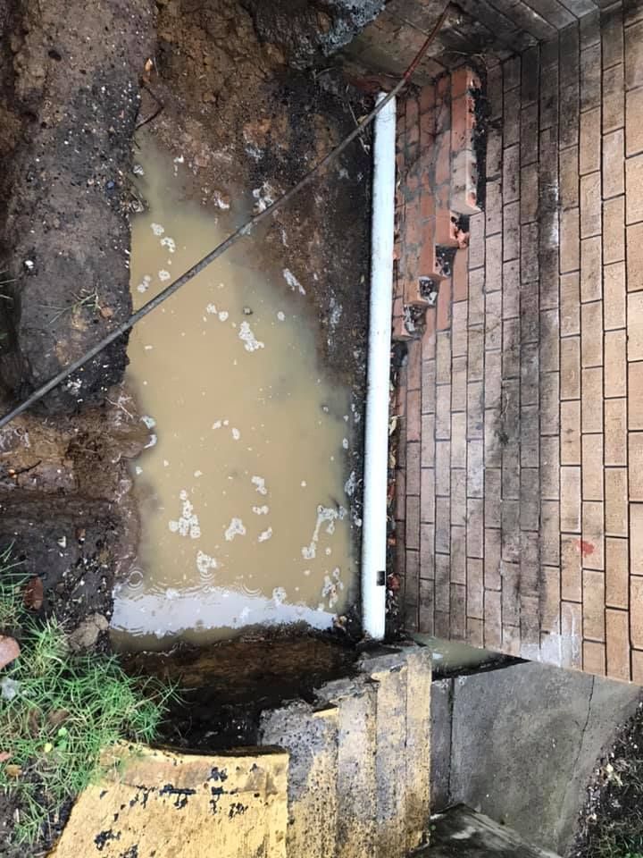 34 05-05-2021.jpg 34 05-05-2021.jpg