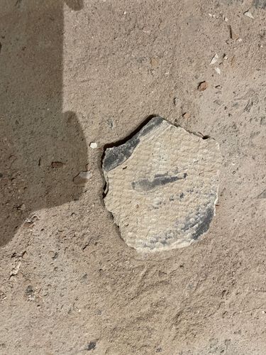 2376FF3A-BF30-4E27-AA8F-B2B91C64C285.jpeg 2376FF3A-BF30-4E27-AA8F-B2B91C64C285.jpeg