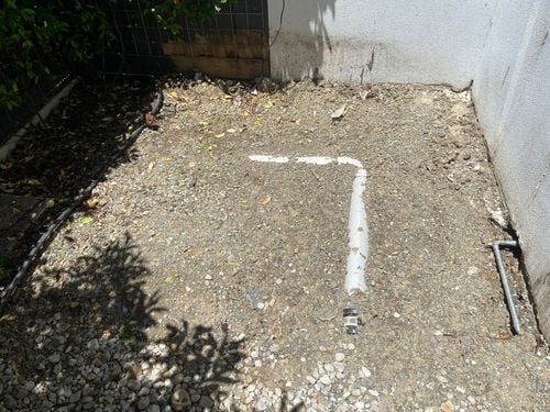 IMG_6797.jpeg IMG_6797.jpeg