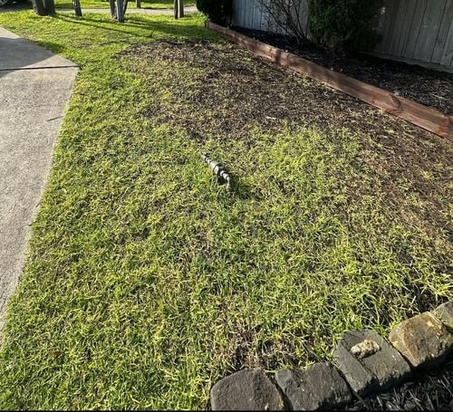 IMG_2443.jpeg IMG_2443.jpeg