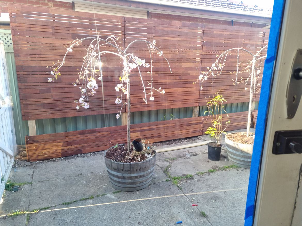 20230926_160420.jpg 20230926_160420.jpg