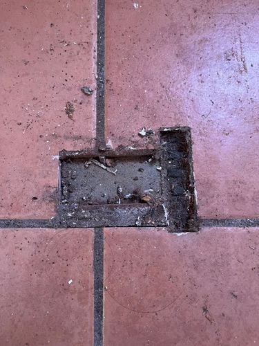 IMG_5294.jpeg IMG_5294.jpeg