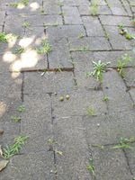 photo_2023-12-20_10-29-32.jpg photo_2023-12-20_10-29-32.jpg