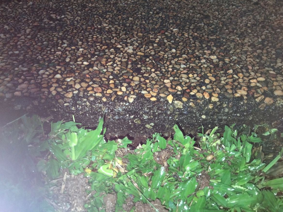 IMG20220225185004.jpg IMG20220225185004.jpg