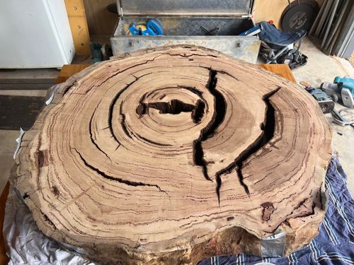 IMG_3520.jpeg IMG_3520.jpeg