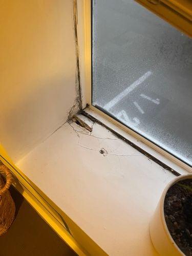 IMG_7020.jpeg IMG_7020.jpeg