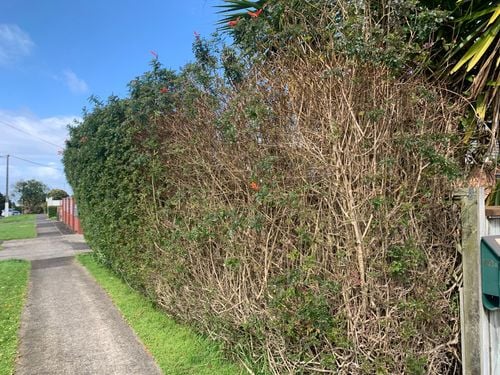 92AB064C-75A1-4ED0-B7E7-D0D21CA8A0C1.jpeg 92AB064C-75A1-4ED0-B7E7-D0D21CA8A0C1.jpeg