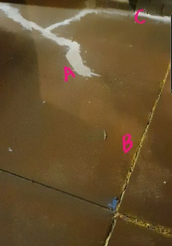 Screenshot_20221130-152641_Photos.jpg Screenshot_20221130-152641_Photos.jpg