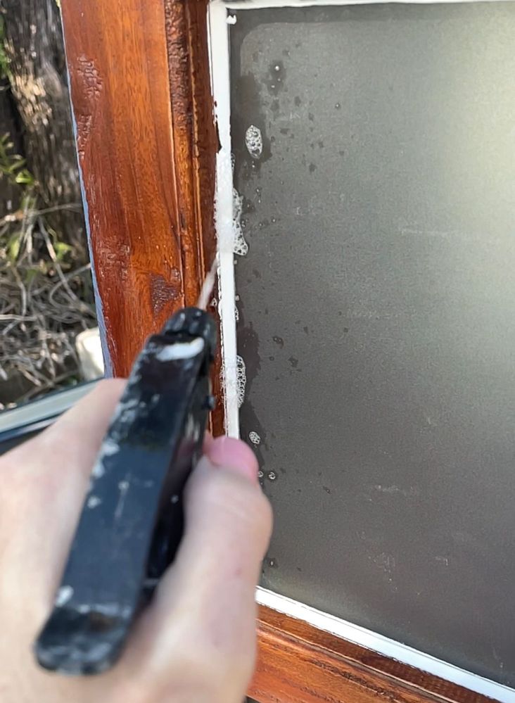 IMG_E9C9FF513BA6-1.jpeg IMG_E9C9FF513BA6-1.jpeg