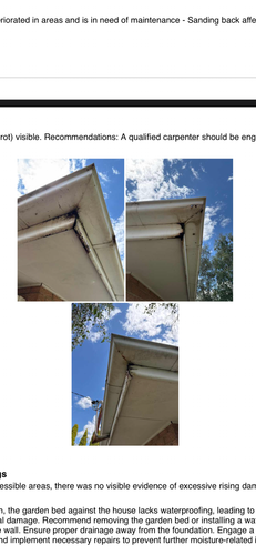 38F53499-B429-4C30-B095-818190685D3C.png 38F53499-B429-4C30-B095-818190685D3C.png