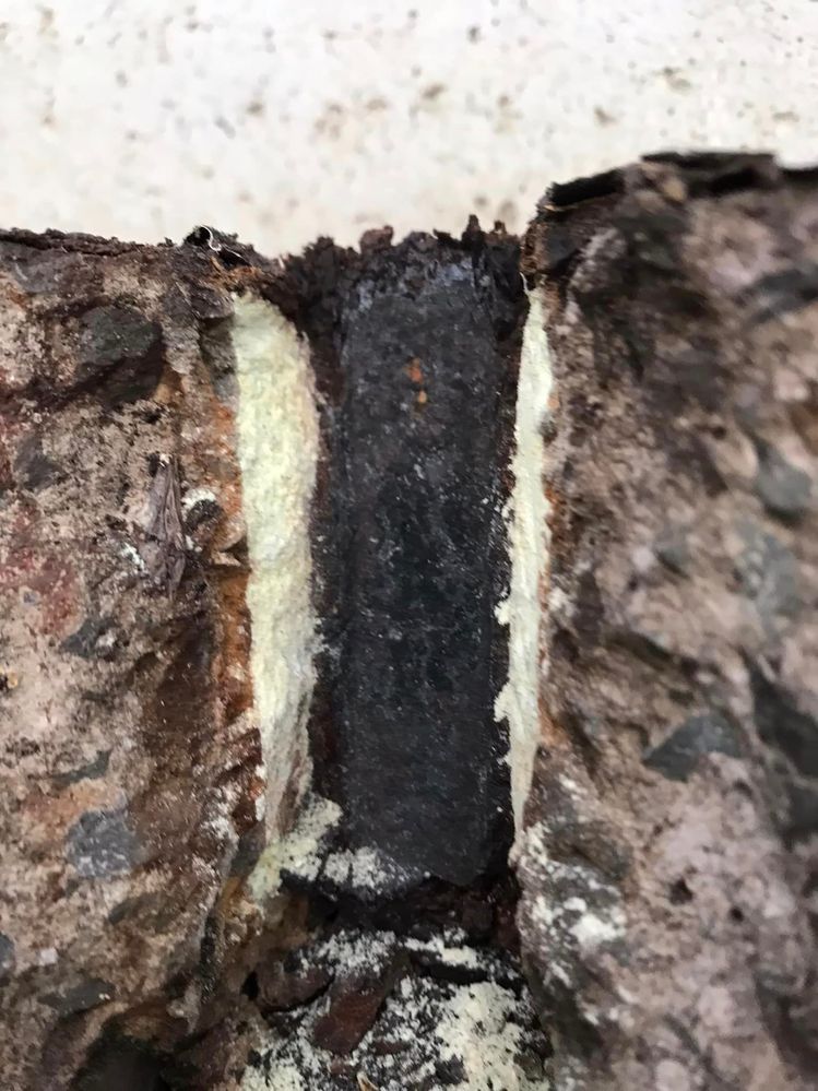 11 27-05-2023.jpg 11 27-05-2023.jpg