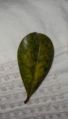 1000045830.jpg 1000045830.jpg