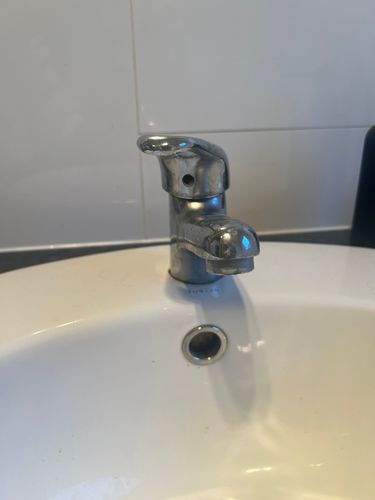 IMG_8226.jpeg IMG_8226.jpeg