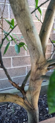 1000142011.jpg 1000142011.jpg